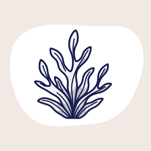 Plant Care